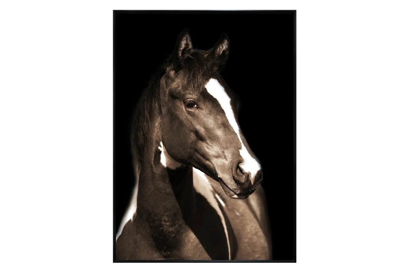Fayette 1 Tempered Glass Print
