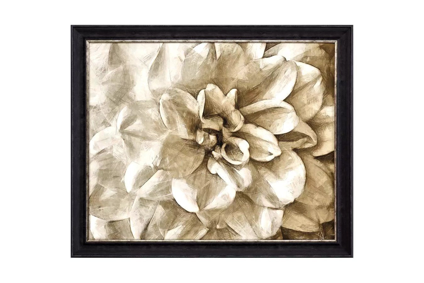 Wall Flower II