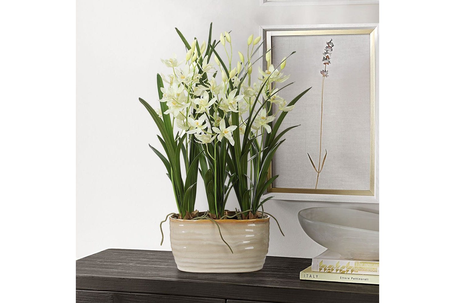 Ariana Orchid