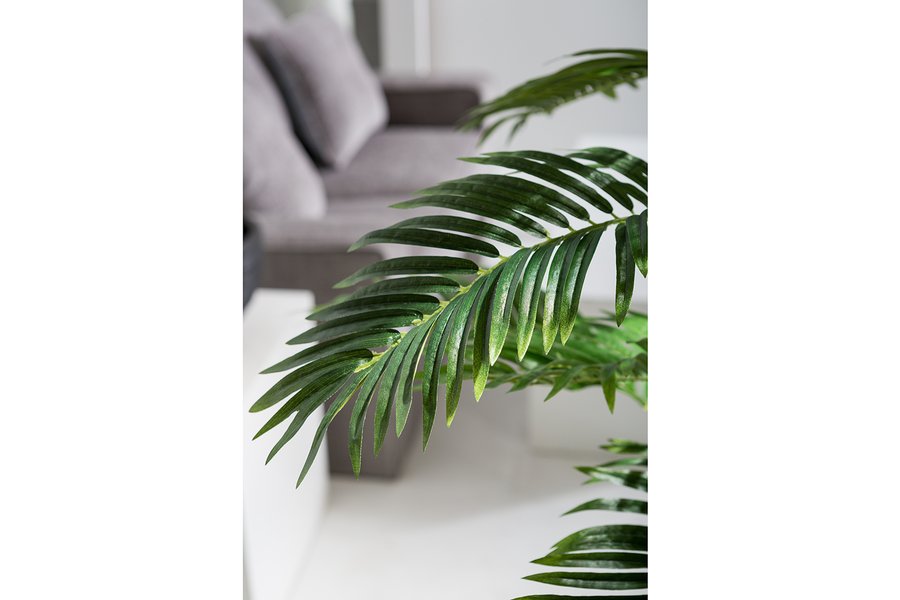 73-Inch Areca Palm Tree in White Planter