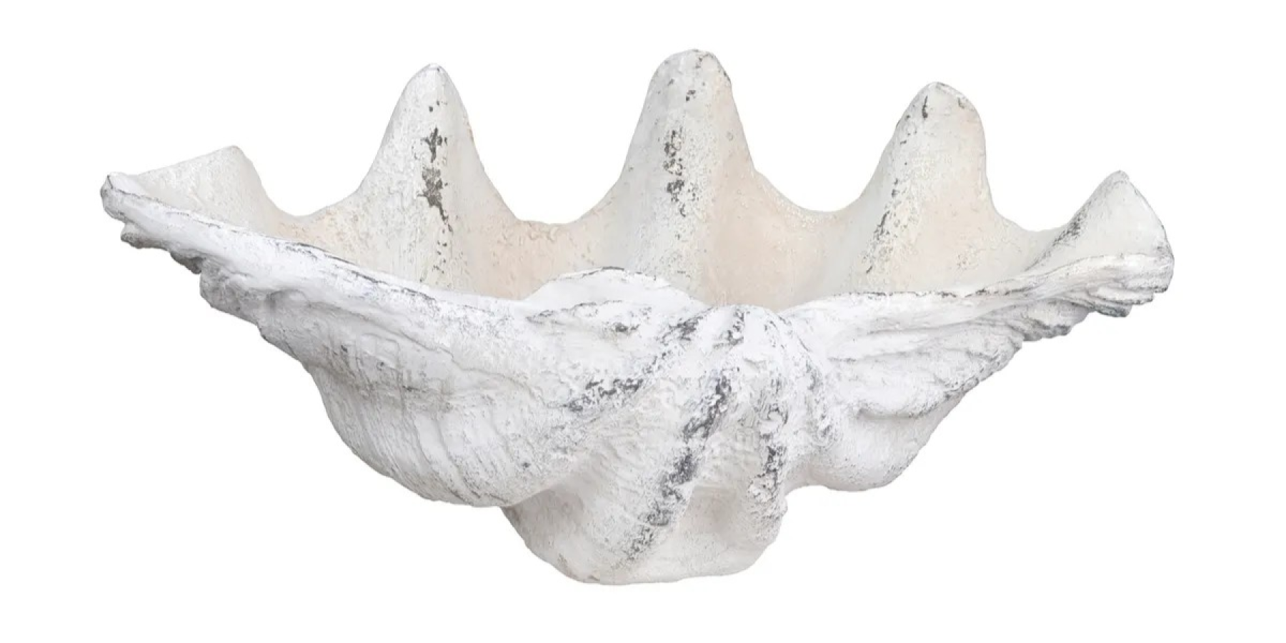 Henley Shell Sculpture