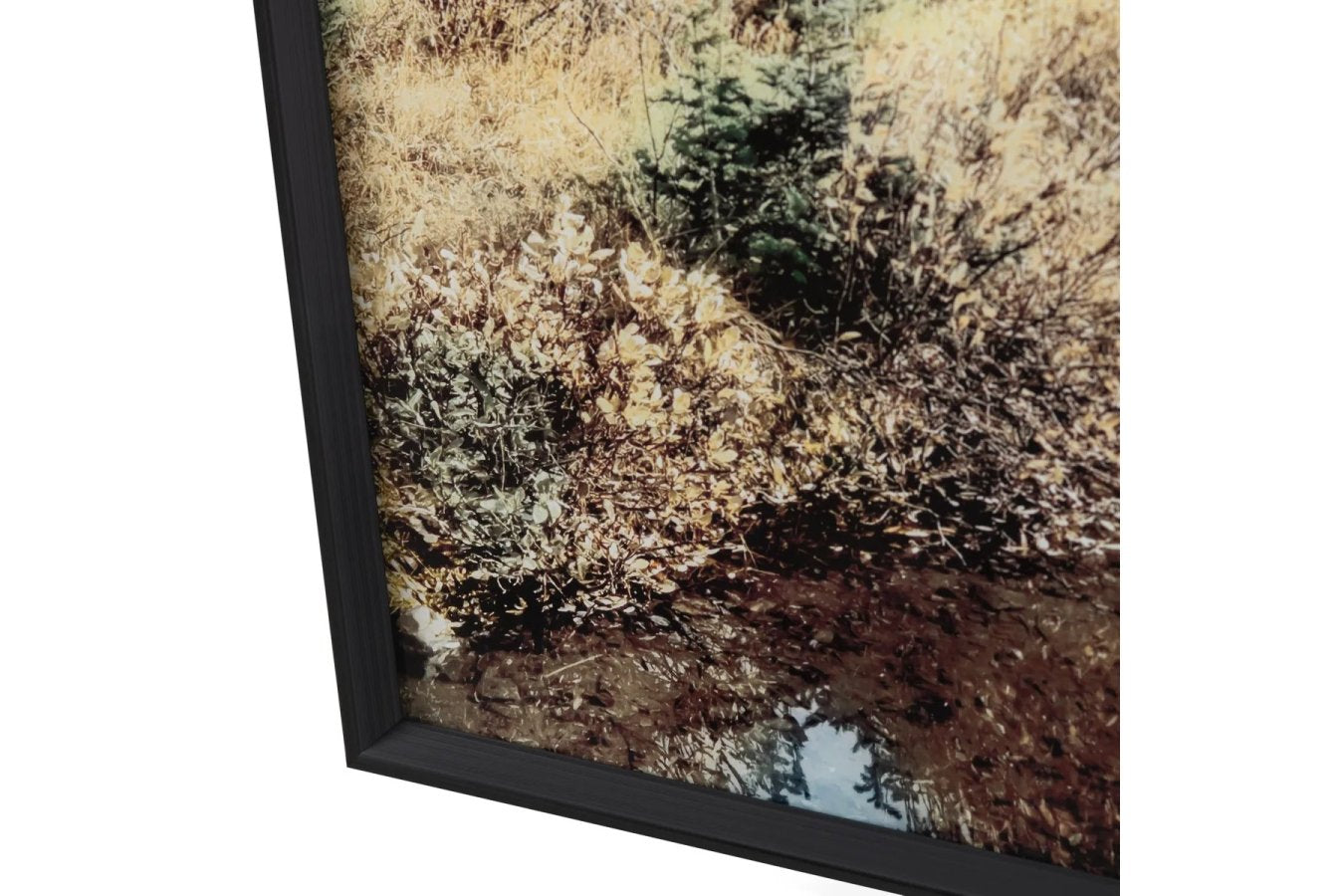 Wheeler Tempered Glass Print