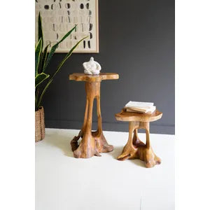Organic Teak Accent Table Set of 2