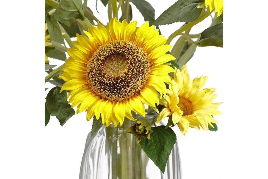 Sunflowers in Glass Vase
