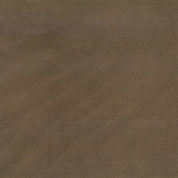 Weekend Walks Mocha fabric swatch.